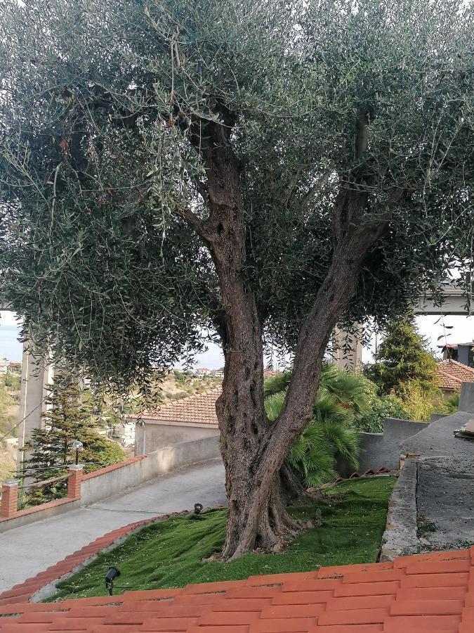 La Casa Di Trilly Hotell Sanremo Eksteriør bilde